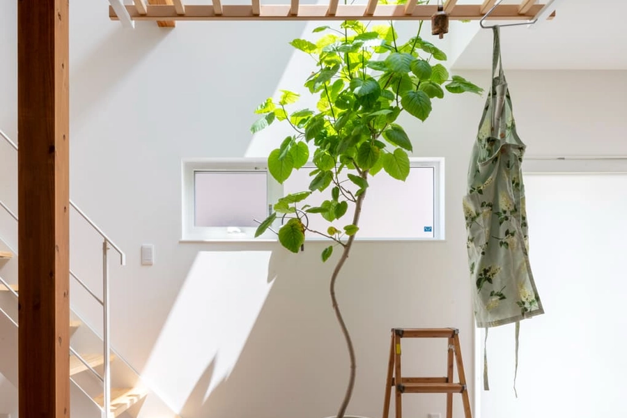 吹き抜けのあるおしゃれな家特集!メリット・デメリットや注意点も解説