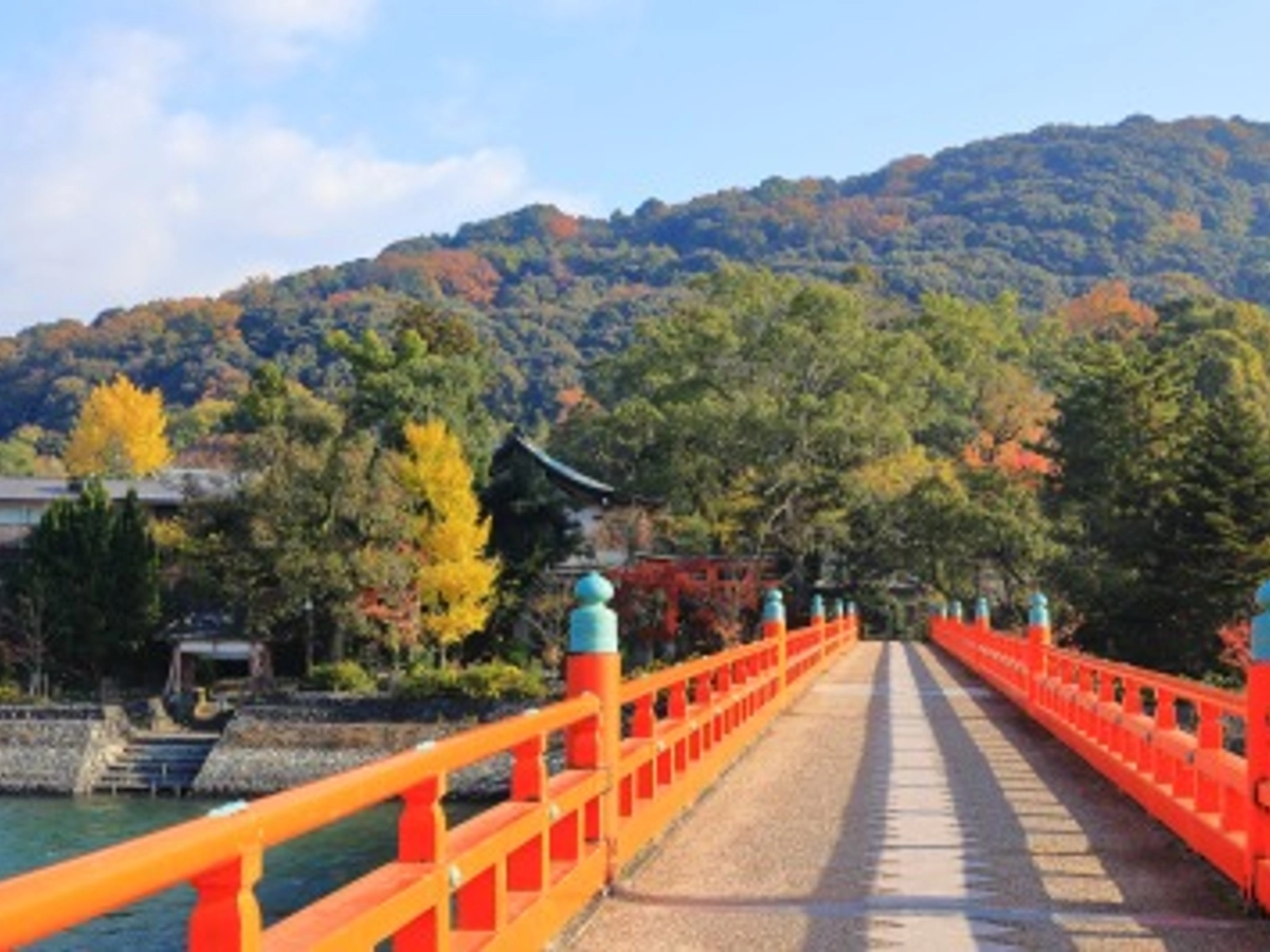 宇治川朝霧橋と紅葉風景