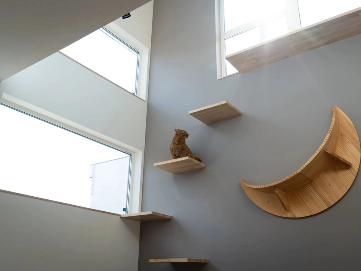 キャットステップが設けられた吹き抜け