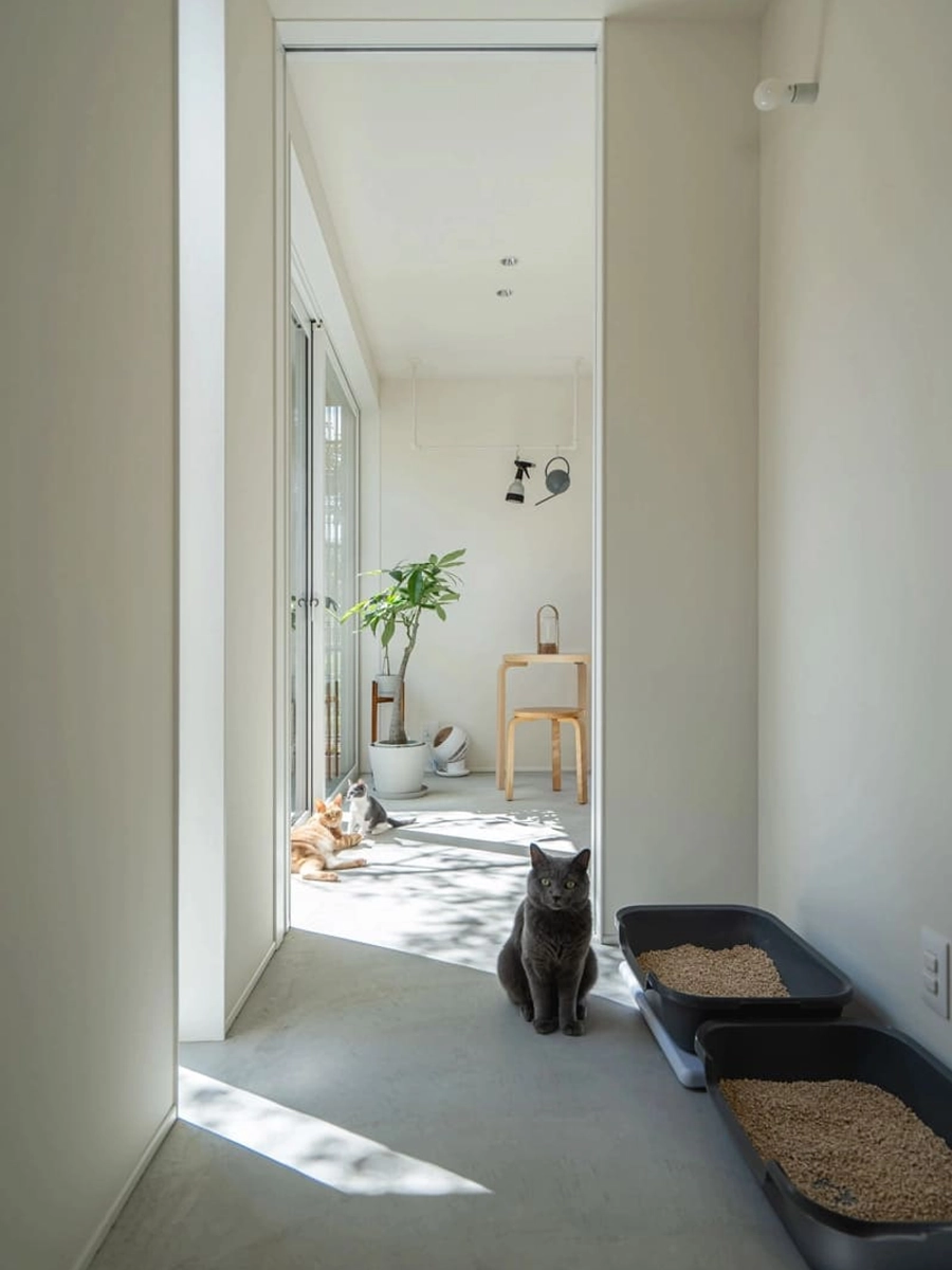 猫のトイレスペースがある土間玄関