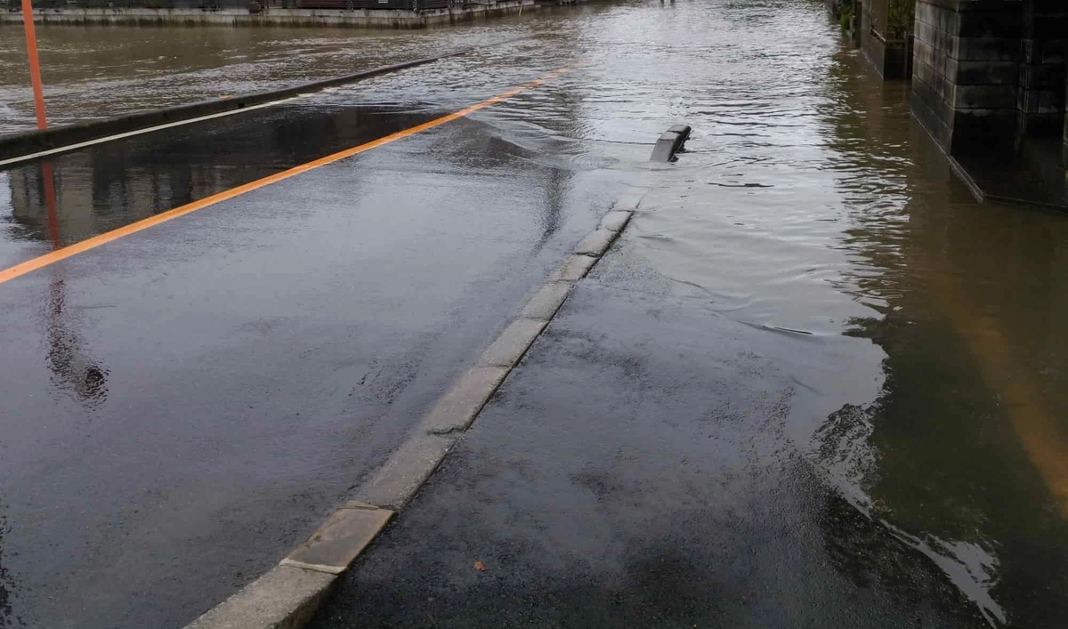 豪雨により冠水した道路