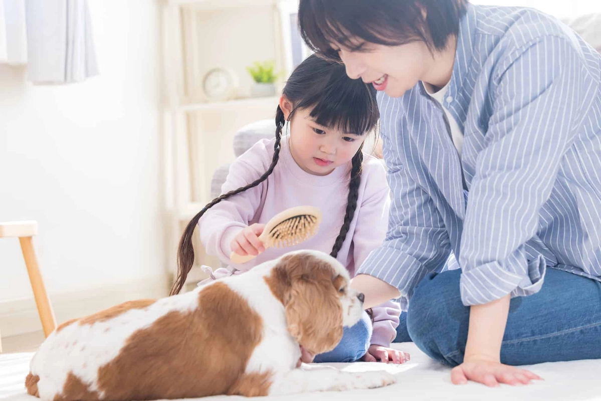 ペットのお世話をする女の子とママ