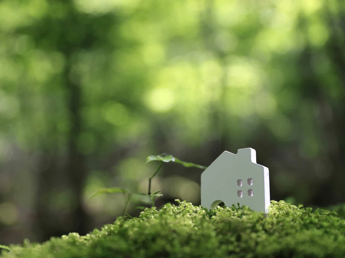 森の中の小さな家