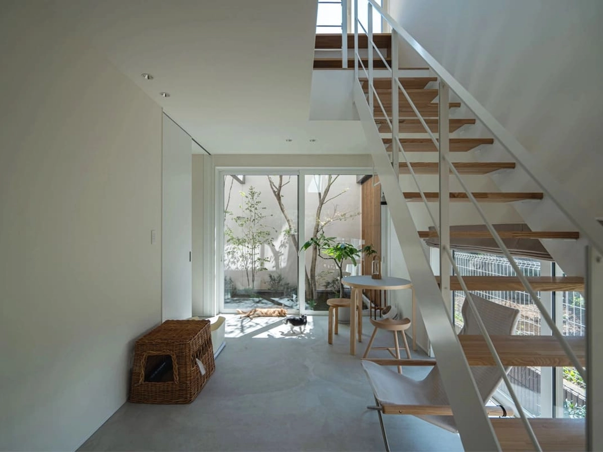 スケルトン階段と中庭