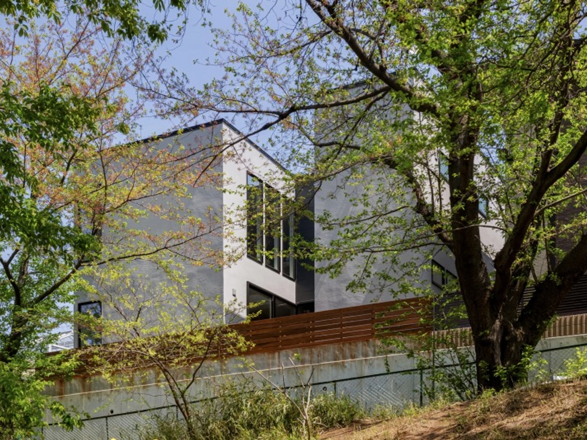 白い外壁の家の裏側