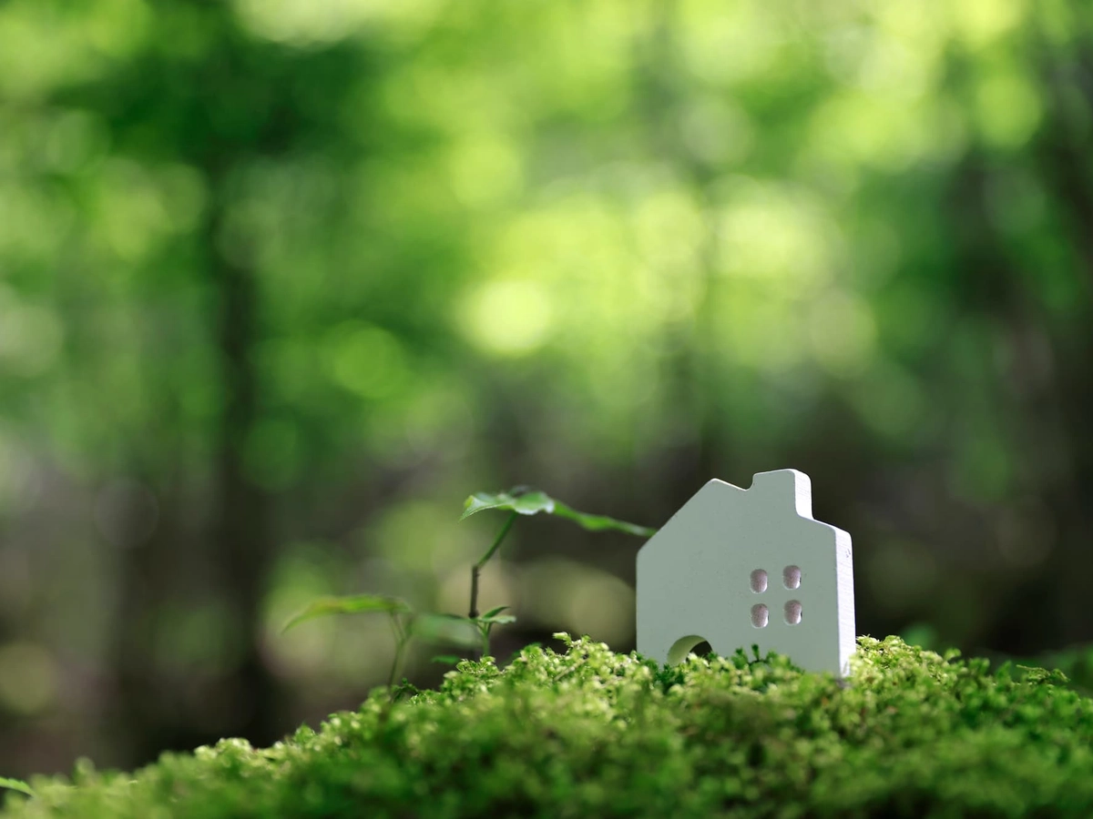 森の中の小さな家