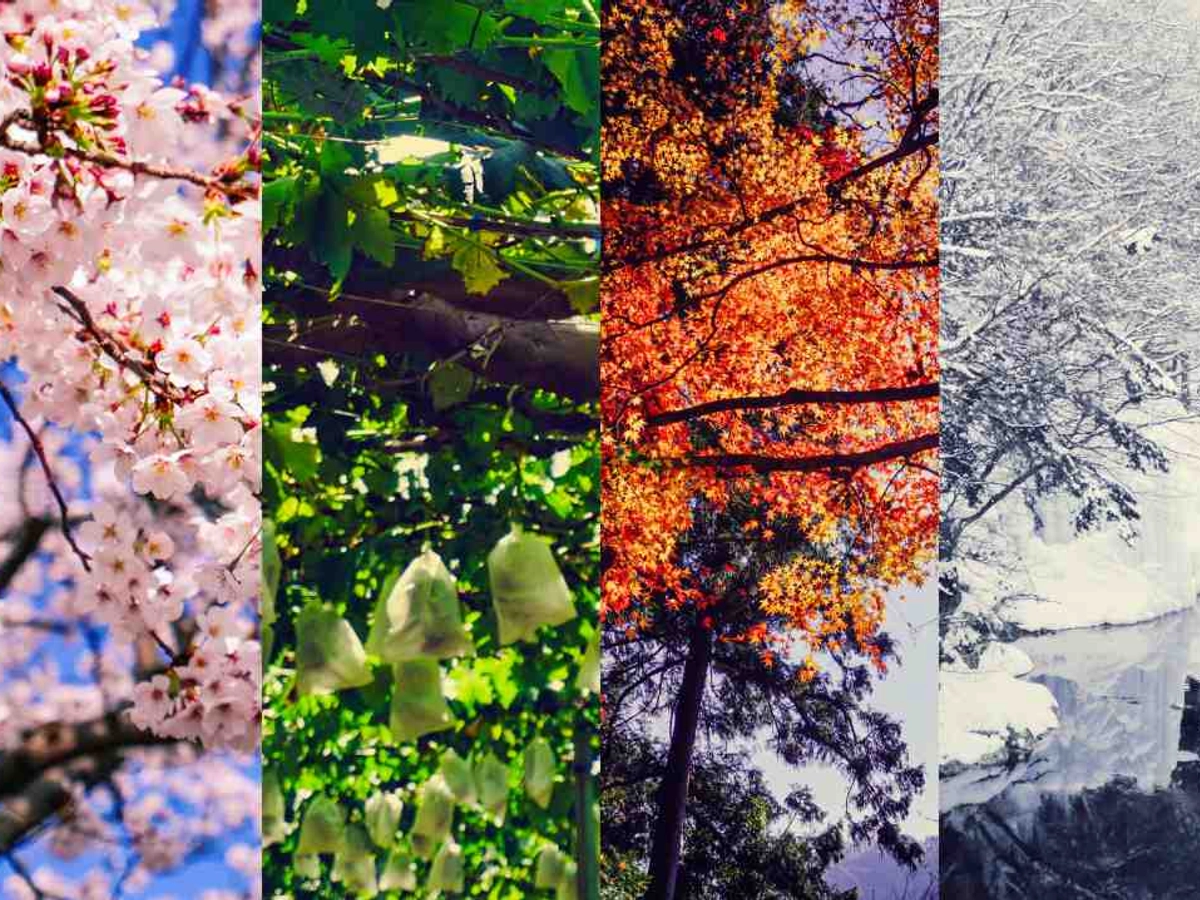 春夏秋冬の背景画像