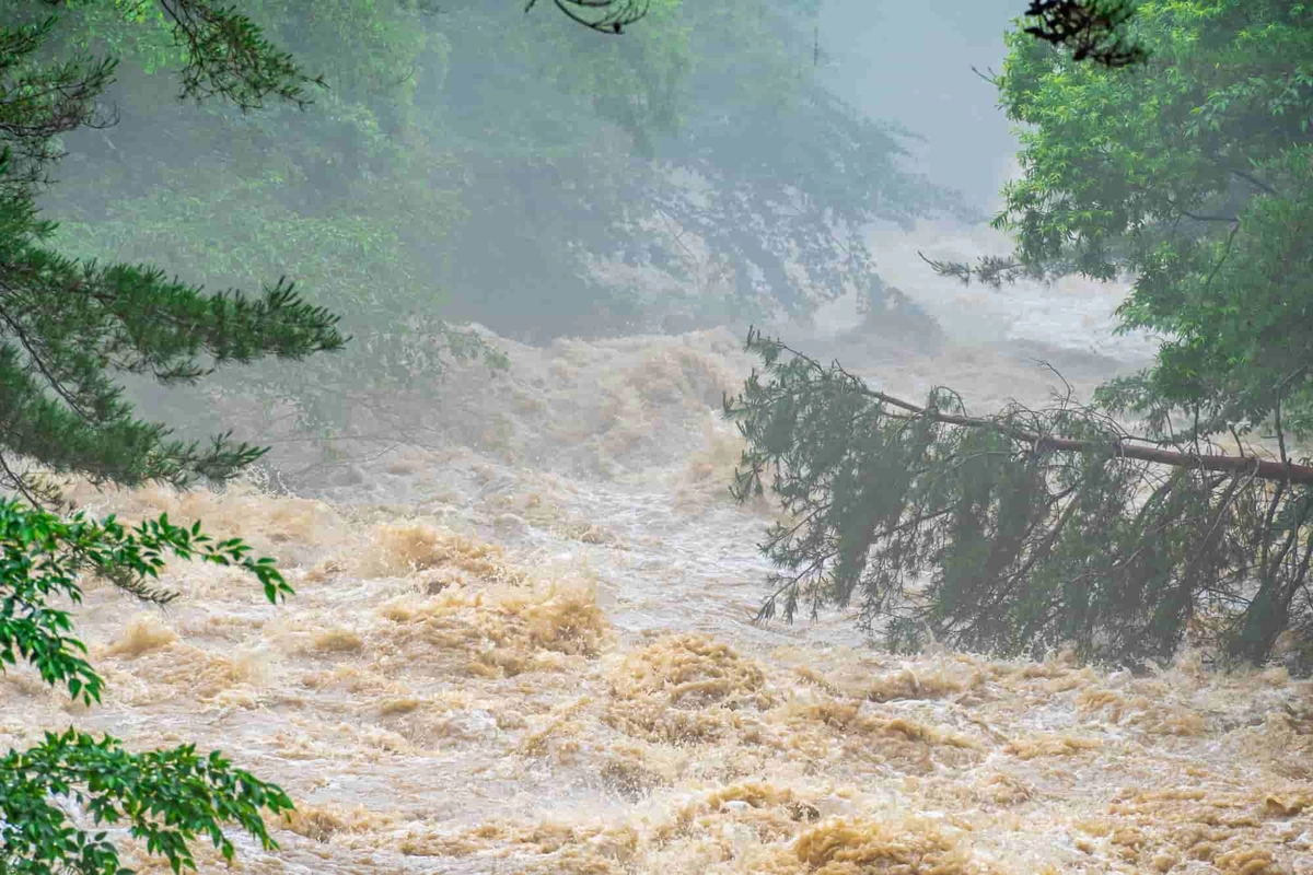 大雨の後の川の濁流