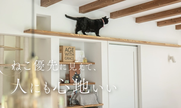 ねこ15匹と 心地よく暮らす平屋