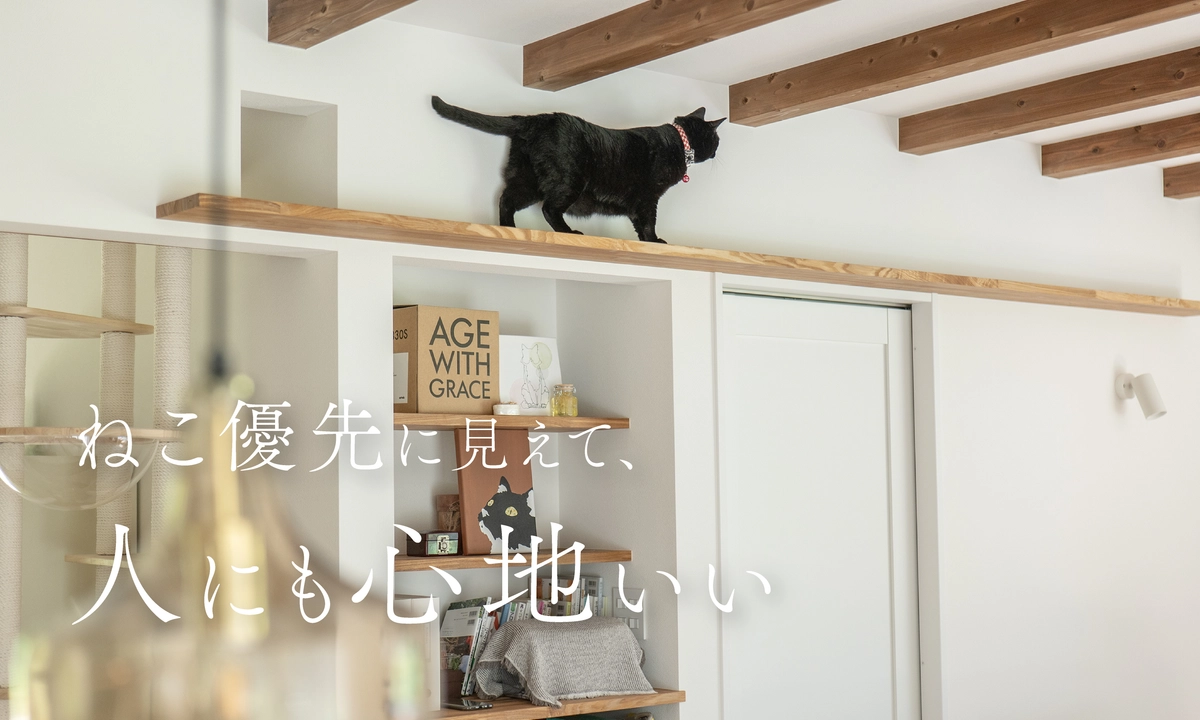 ねこ15匹と 心地よく暮らす平屋