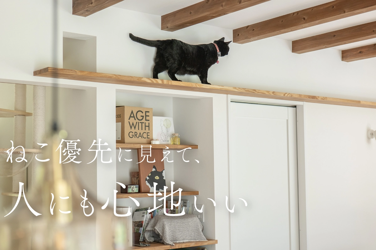 ねこ15匹と 心地よく暮らす平屋