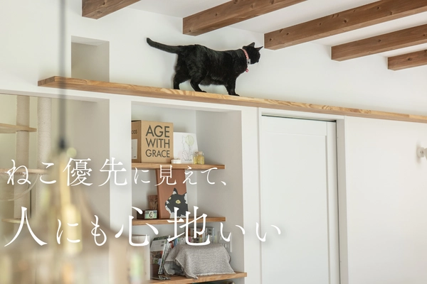 ねこ15匹と 心地よく暮らす平屋