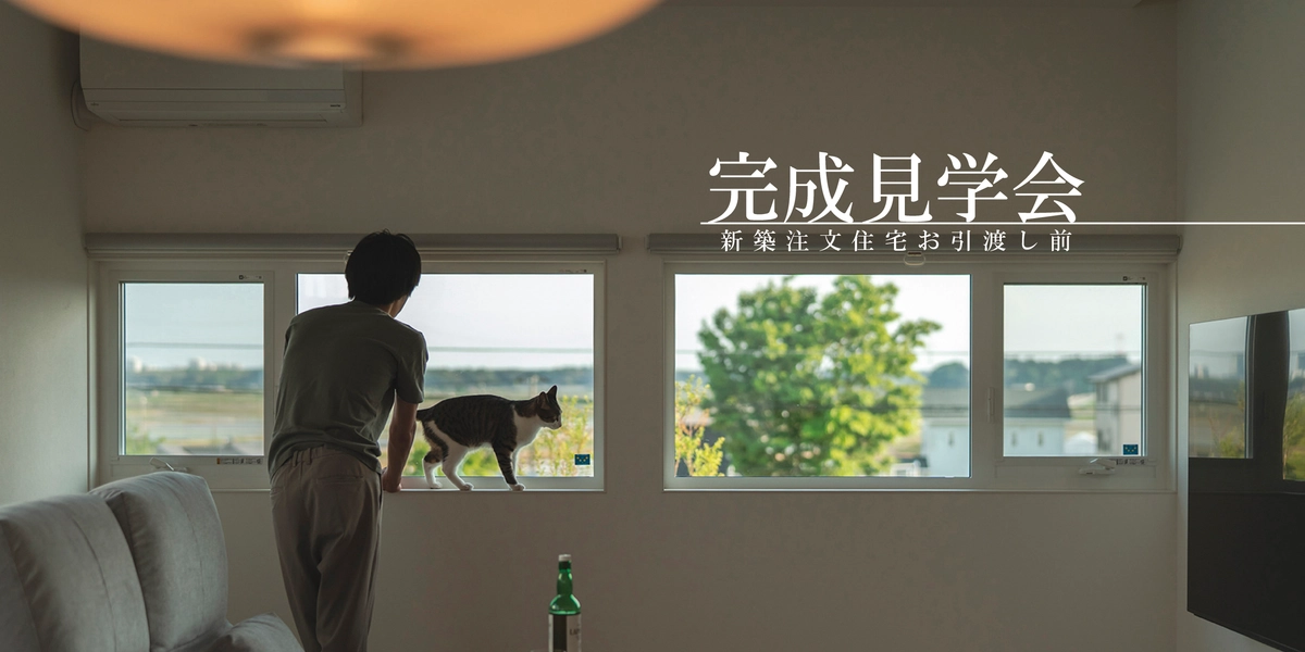 【墨田区】猫が自由な家｜吹き抜けも、階段下も思うがままに