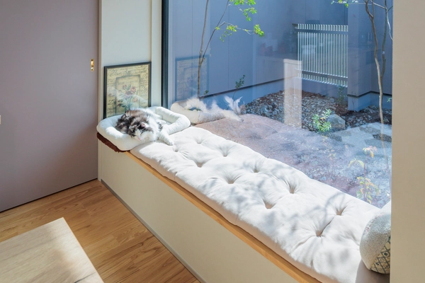 住宅街なのに、カーテンがいらない。 ヌックから緑を眺める家