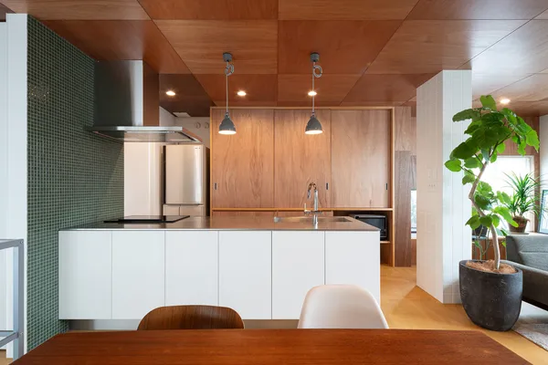 光を導くミッドセンチュリーの家のキッチン