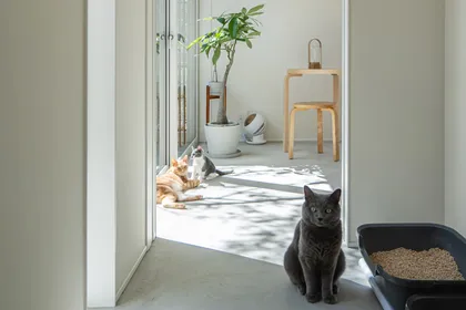 猫と暮らす緑豊かな中庭のある家 サブ画像 左