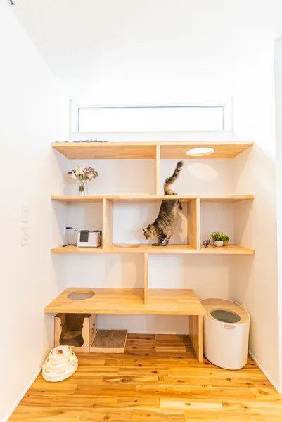 猫と暮らす 陽だまりの家の11D_19_(3001980)05.JPG