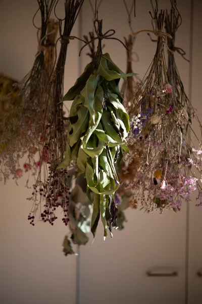 庭のある暮らし 草花に囲まれた田園の家のインテリア・小物