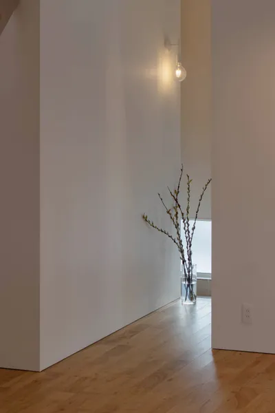 心地よい距離感が育むのびやかな暮らしの玄関