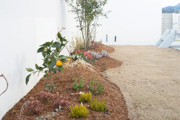 家族を感じる家の庭・中庭