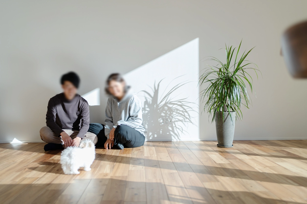 南に大きく開く家のリビング
