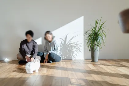 南に大きく開く家 サブ画像 右