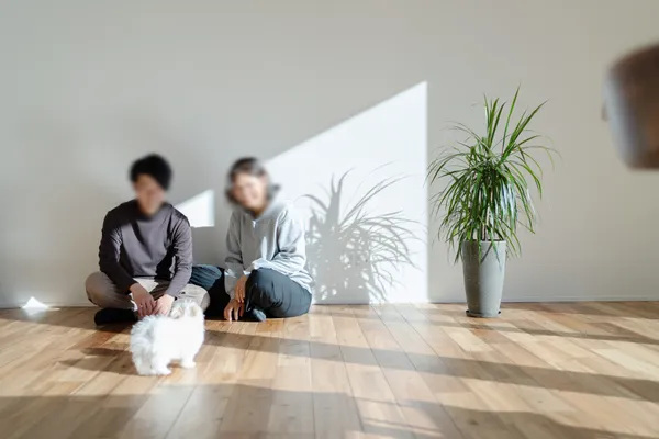 南に大きく開く家のリビング
