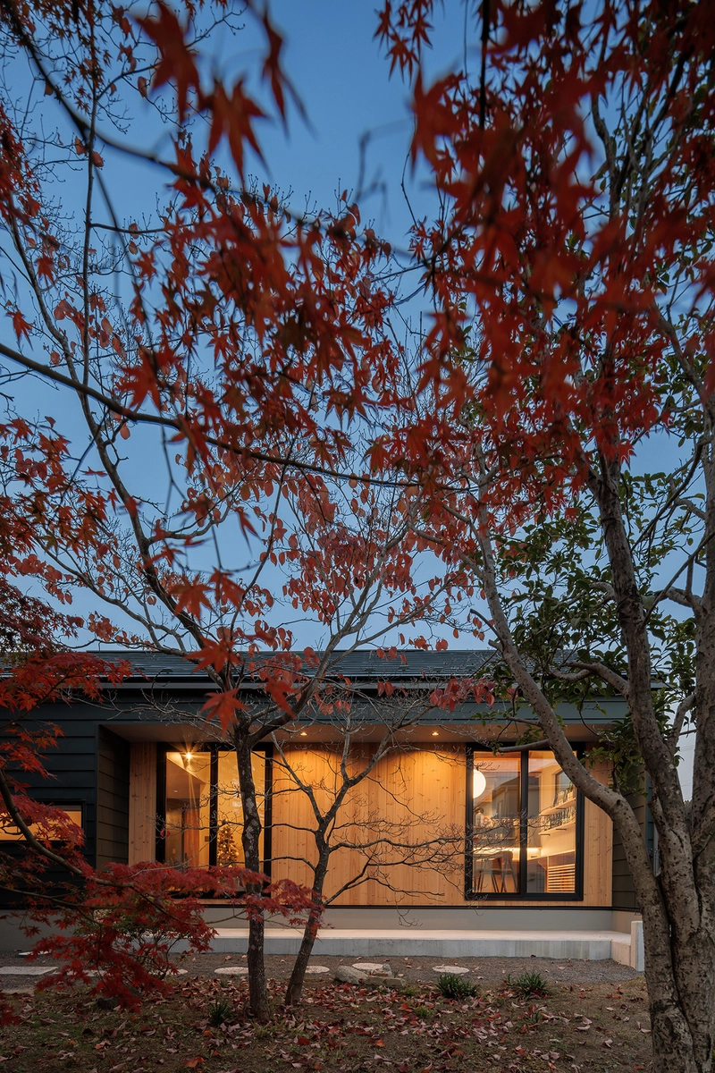 回遊できる非日常的な住まいの外観・庭・中庭