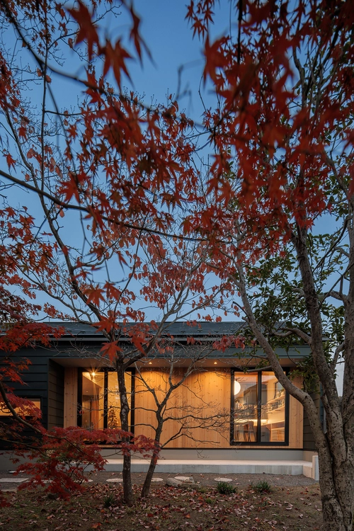 回遊できる非日常的な住まいの外観・庭・中庭