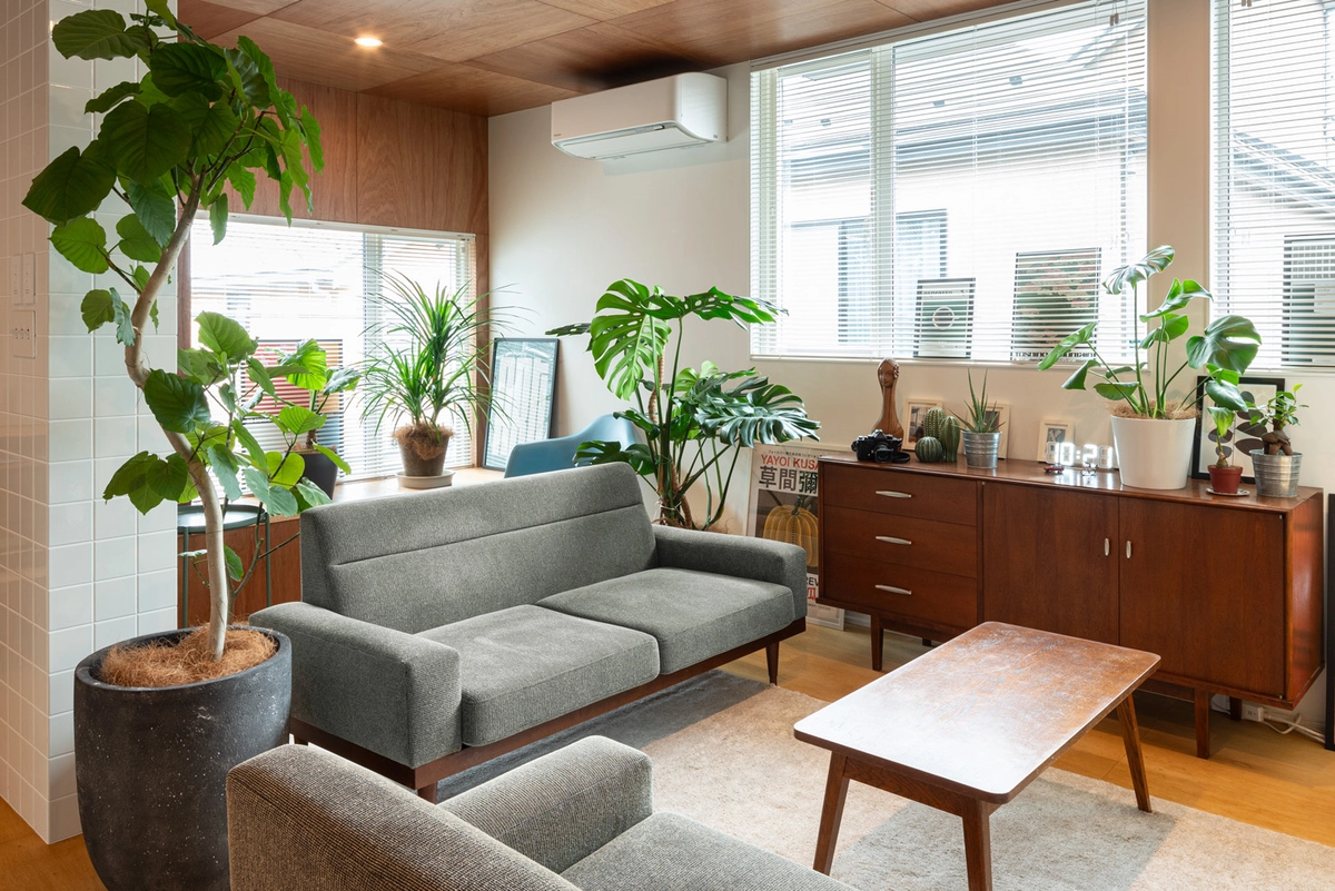 光を導くミッドセンチュリーの家のリビング