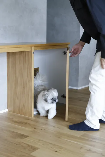 愛犬と暮らす 開放感のある美術館のような家の8B-13（R3000729）021.JPG