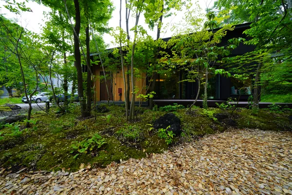 森に包まれた住まいの外観