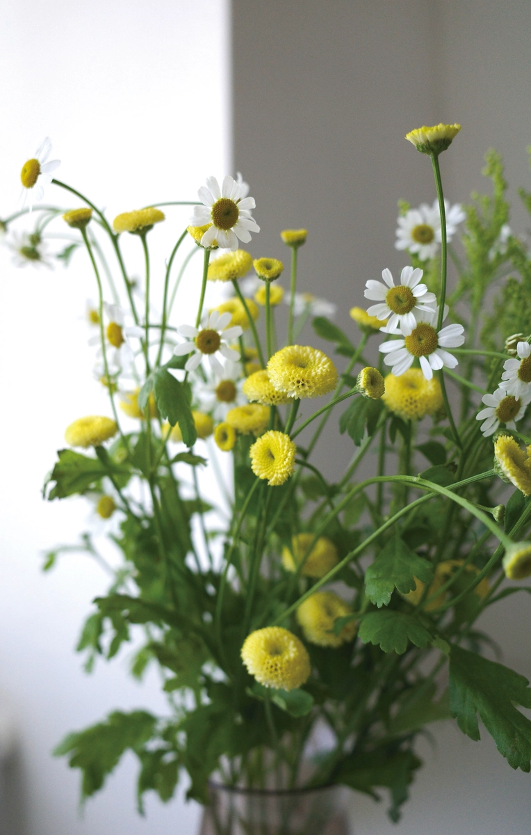 家は人生に寄り添う空間