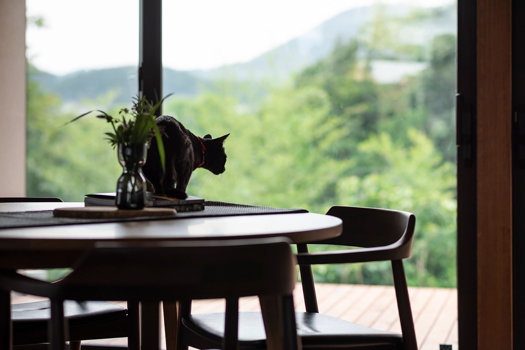 株式会社グリーン企画 紹介画像9