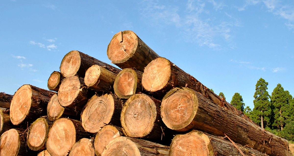 100年以上の歴史で培った 知見と技術力を生かした家づくり